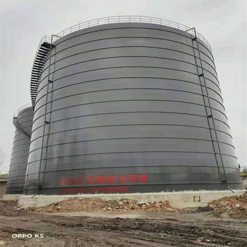 新青3万吨大型钢板库